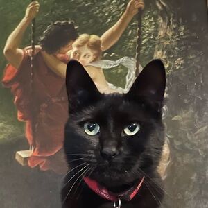 Meet your Posher, Kiki